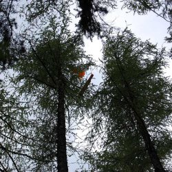 2012 Vojtuv-Tatrar-pristani